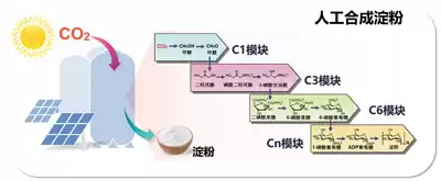 碳废变黄金！生物制造引爆二氧化碳转化革命，重塑未来产业