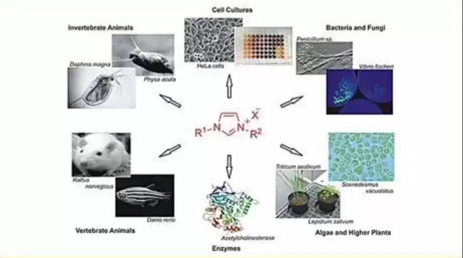 颠覆未来！四大化工黑科技：微化工、超重力、超临界、膜耦合，引爆行业革命！