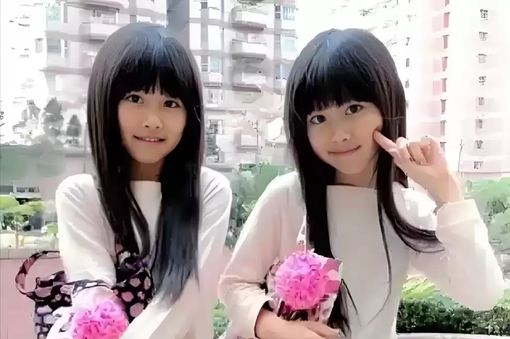 人脸识别终极挑战：如何精准区分双胞胎？核心黑科技全解析！