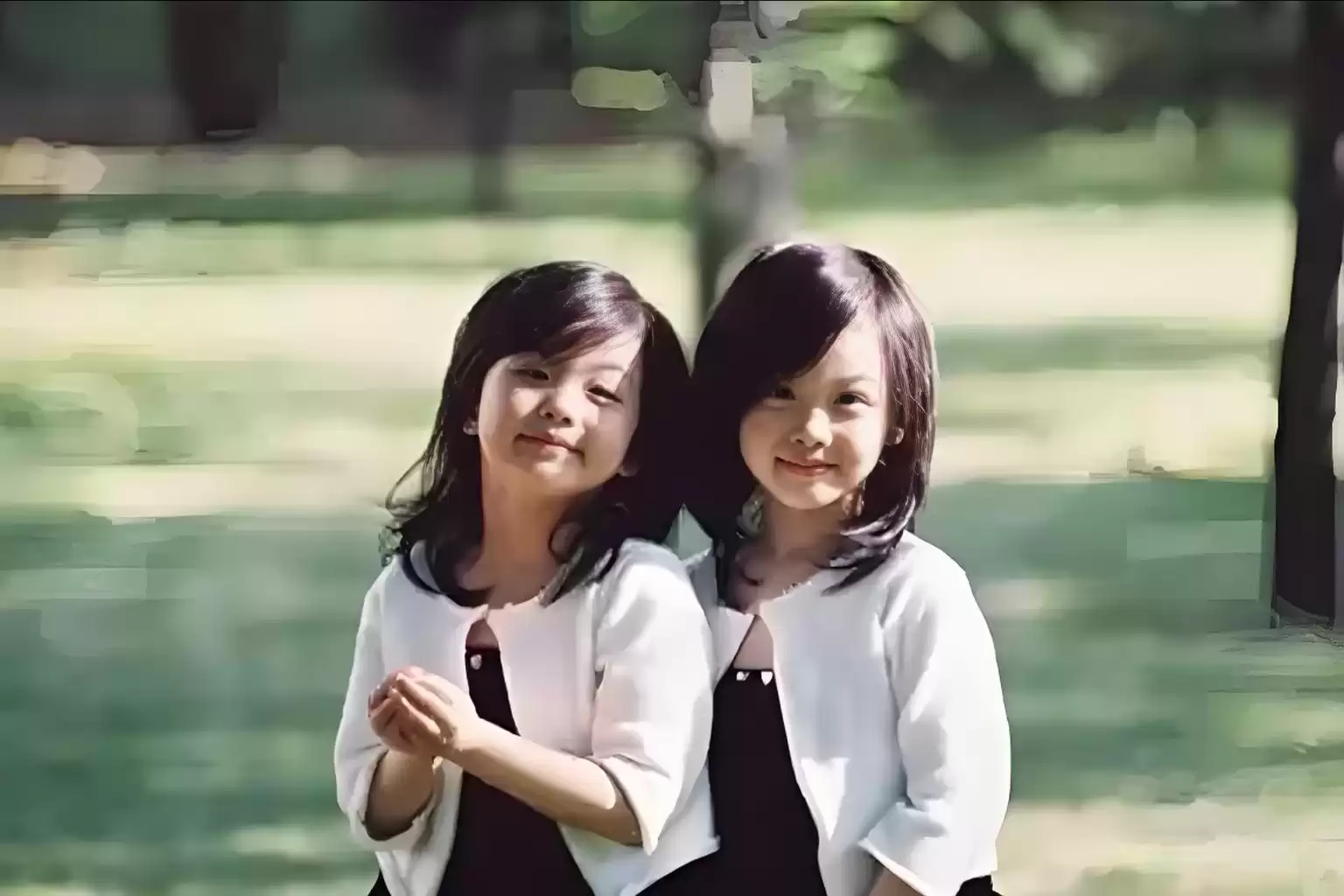 人脸识别终极挑战：如何精准区分双胞胎？核心黑科技全解析！