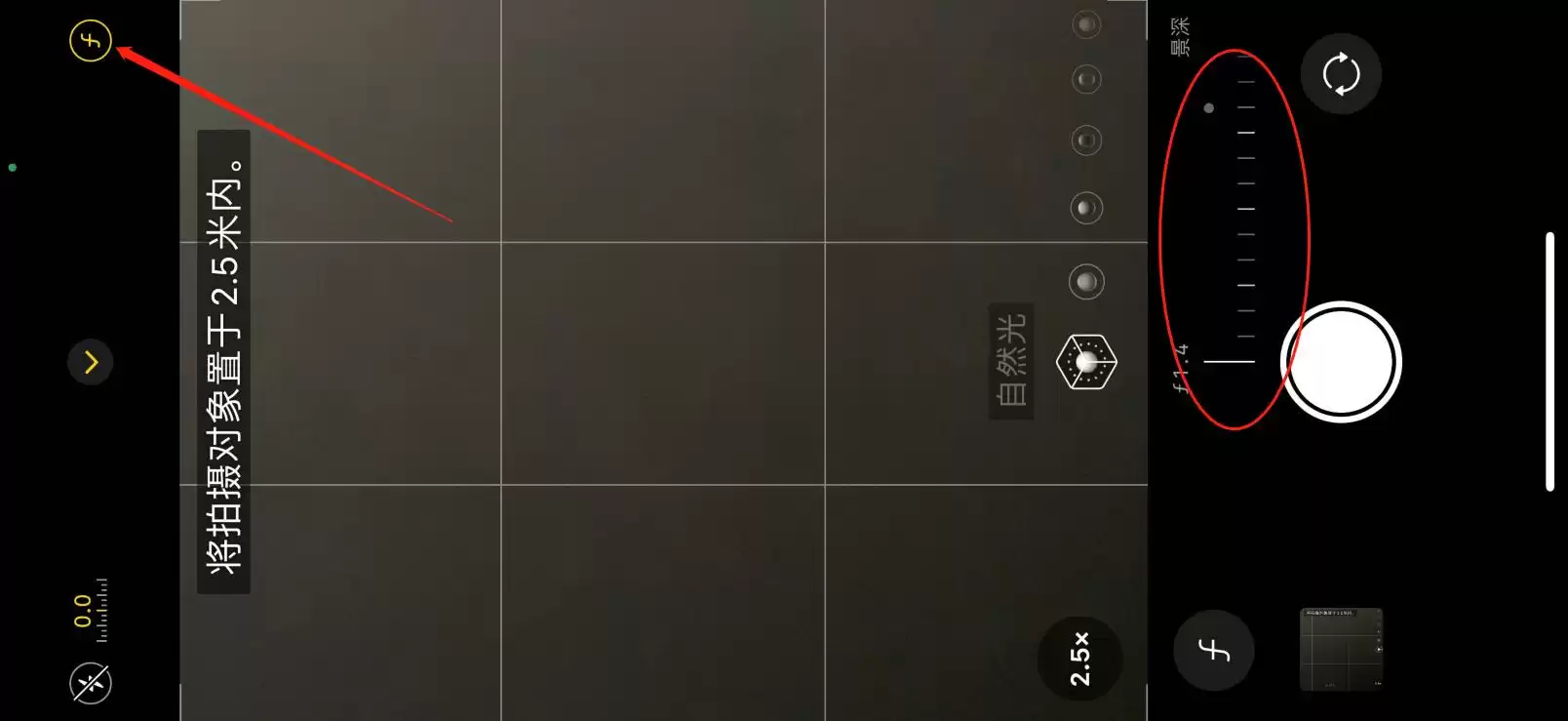 苹果手机摄影秘籍大放送：12个隐藏功能让你秒变拍照大神！