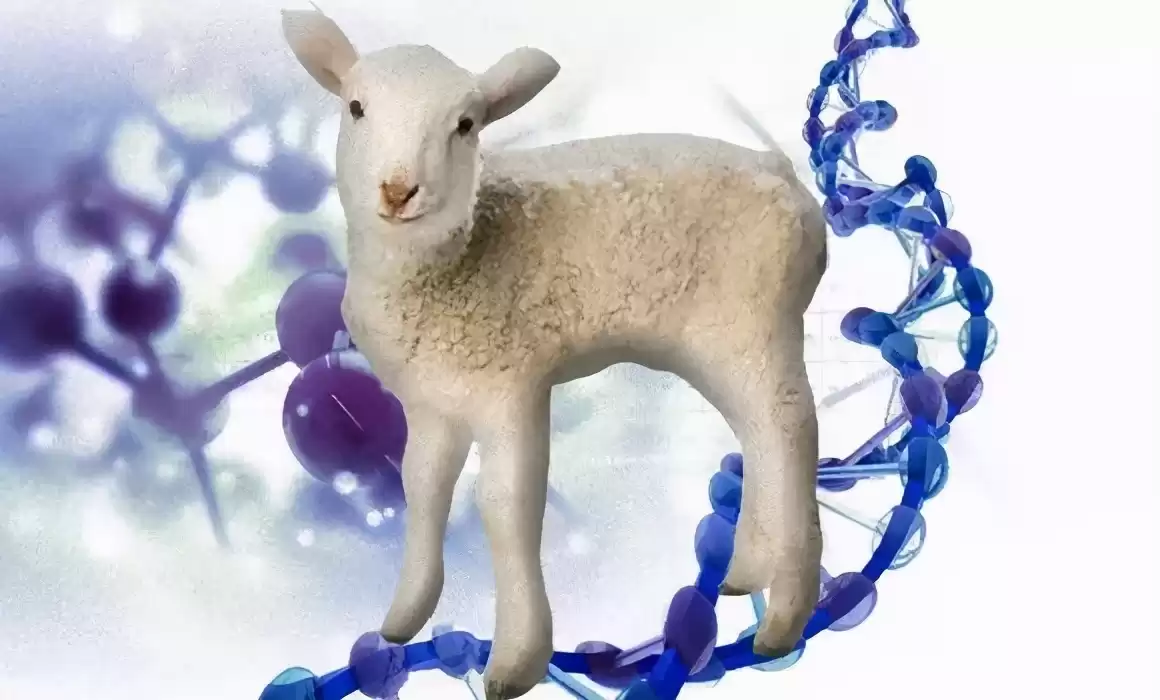 克隆技术沉寂真相：多莉羊的生死谜局，为何人类选择放手？