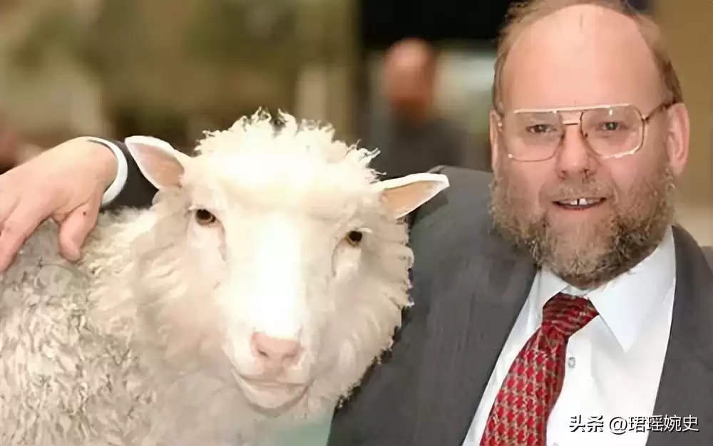 克隆技术沉寂真相：多莉羊的生死谜局，为何人类选择放手？