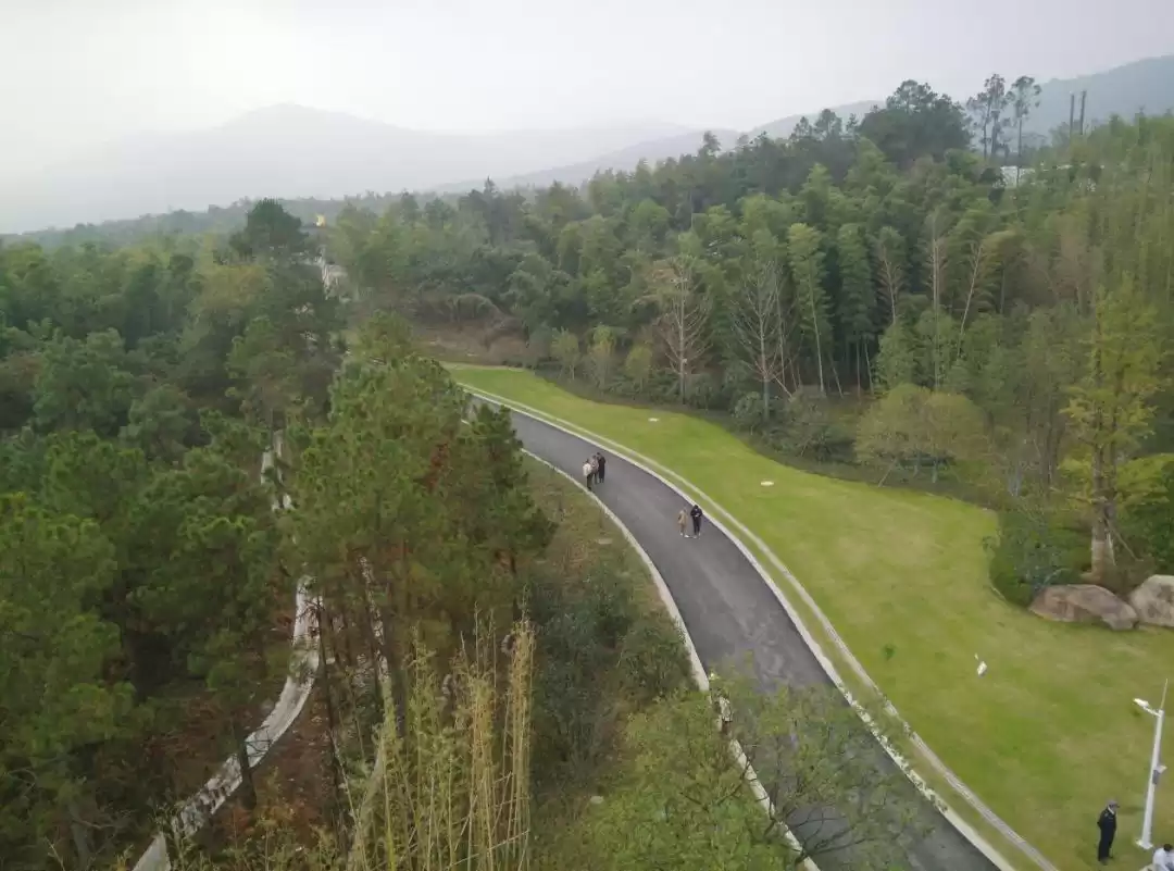 无人机航拍进阶攻略：15大核心操控技巧，解锁上帝视角！