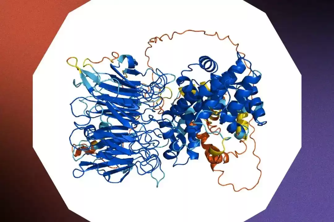 改写人类未来！2021年十大工程奇迹震撼发布