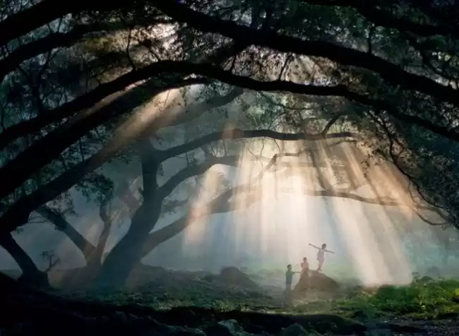 裸眼3D全息成真！悬浮影像触手可及，科幻电影走进现实