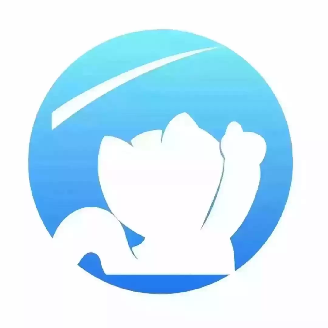 垂直起降技术：颠覆未来天空，机遇与挑战的终极博弈！