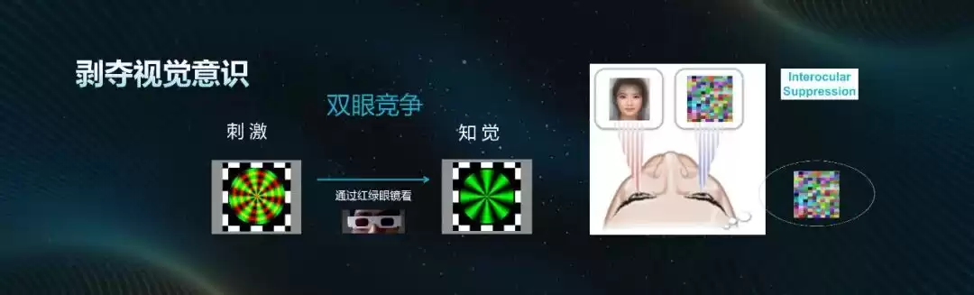 脑成像终极：意识起源只是序章，你的心智才是终极战场！