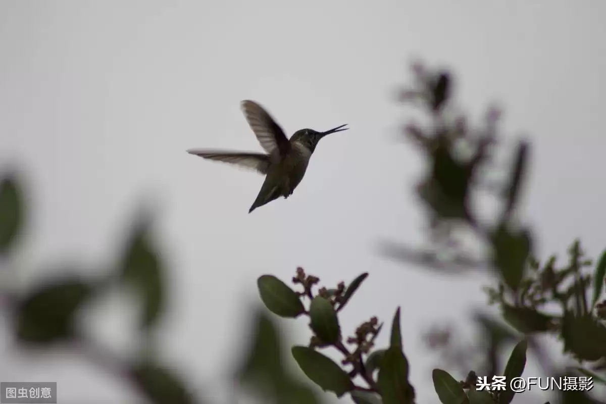 手机摄影大师速成班：6个核心技巧颠覆你的随手拍