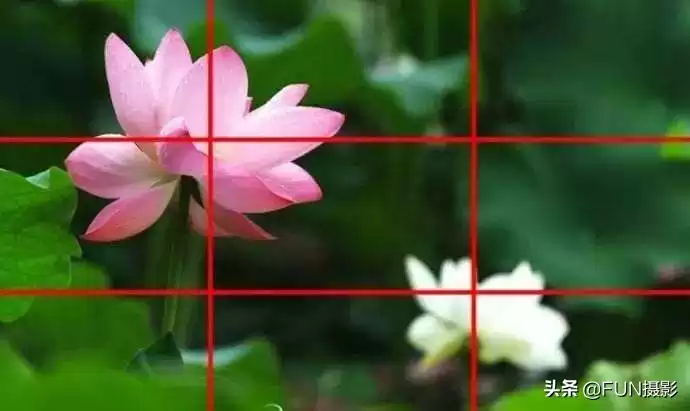 手机摄影大师速成班：6个核心技巧颠覆你的随手拍