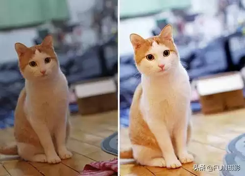 手机摄影大师速成班：6个核心技巧颠覆你的随手拍