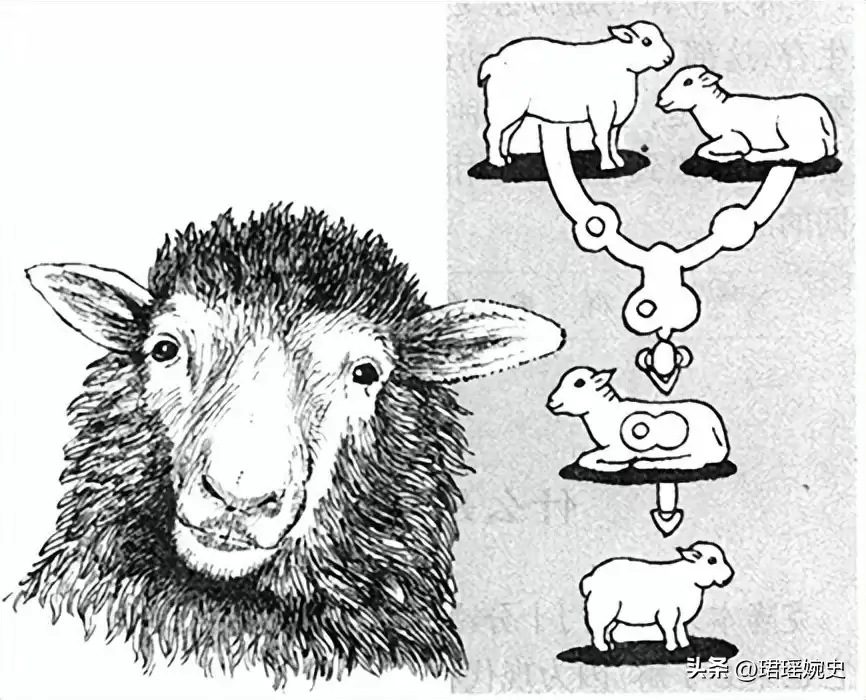 克隆技术为何突然消失？多莉羊的悲剧一生，揭开了科学界的沉默真相！