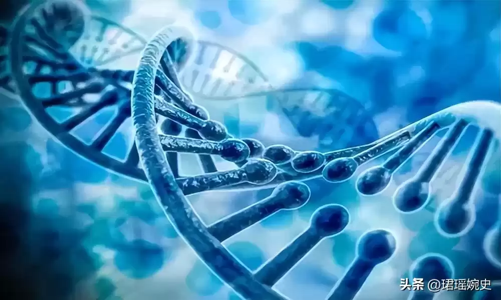 克隆技术为何突然消失？多莉羊的悲剧一生，揭开了科学界的沉默真相！