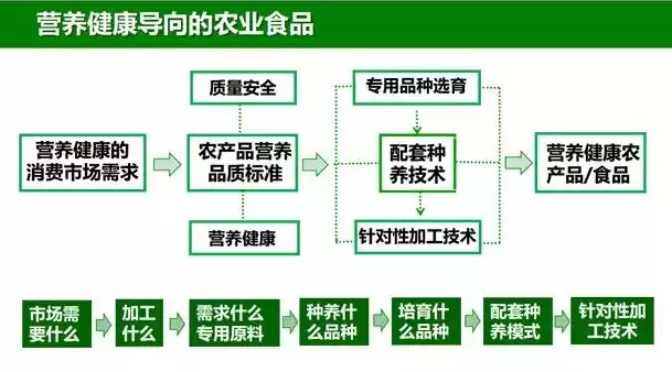掘金大健康蓝海！五步解锁营养农产品加工财富密码