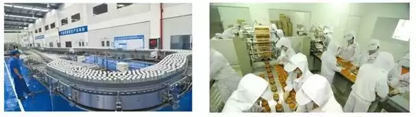 掘金大健康蓝海！五步解锁营养农产品加工财富密码