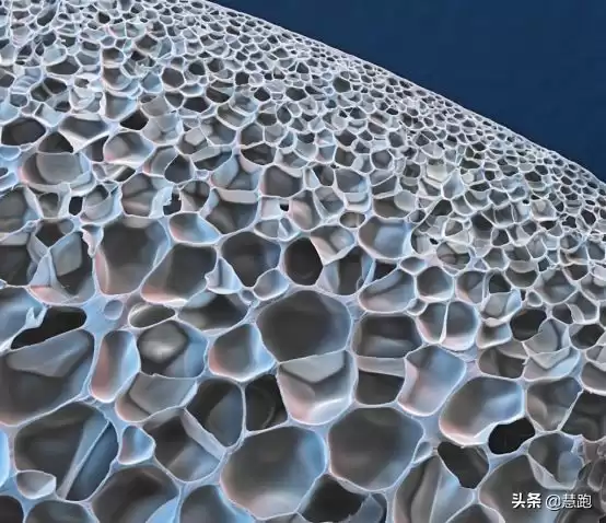 Boost王朝落幕？耐克ZoomX碾压阿迪达斯，竞速跑鞋已变天！