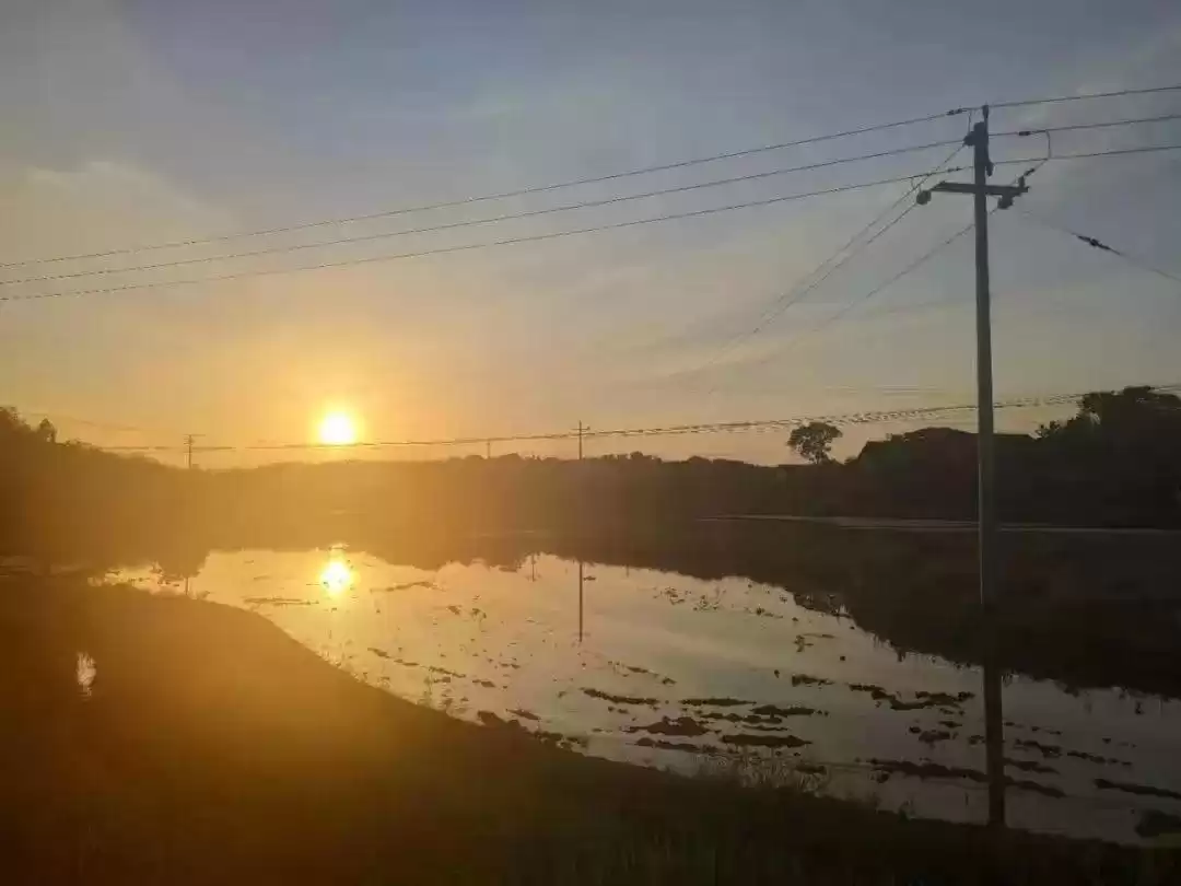 40岁破局：阿里前技术总监如何撕掉“证明”标签，重塑自由人生？