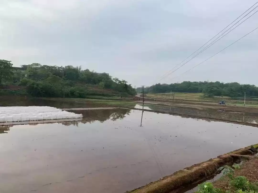 40岁破局：阿里前技术总监如何撕掉“证明”标签，重塑自由人生？