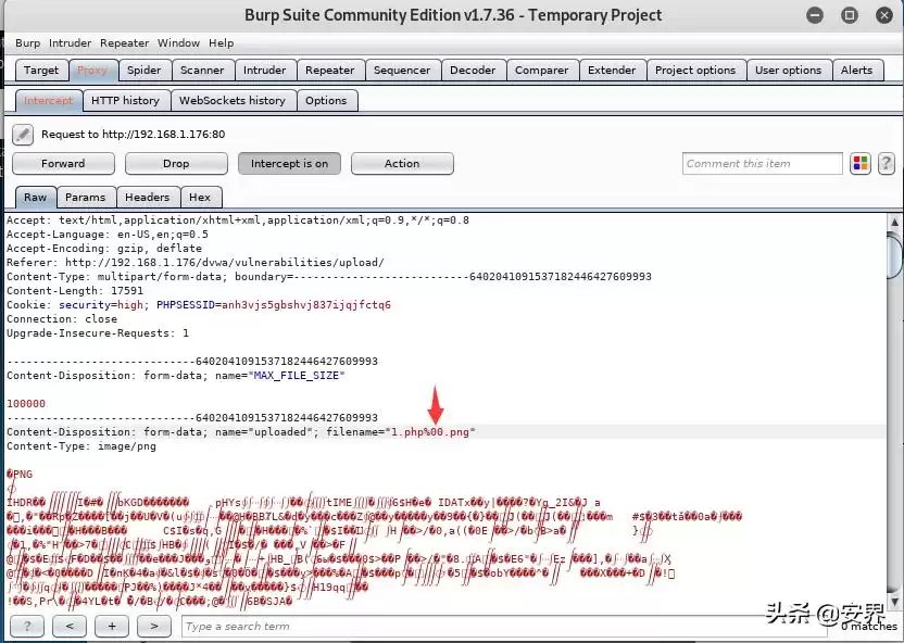黑客技术自学：手把手入门指南，开启网络安全新纪元