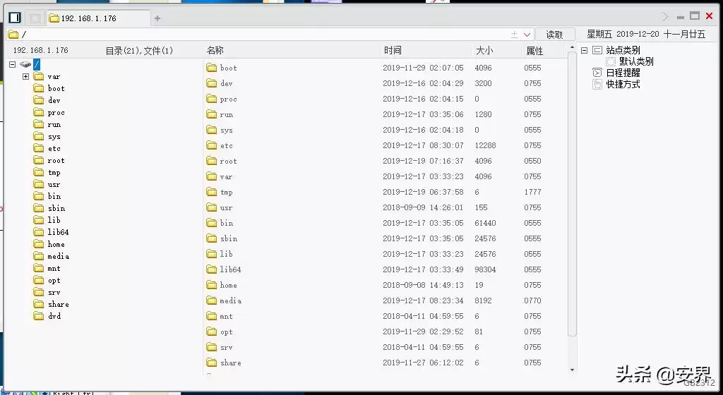 黑客技术自学：手把手入门指南，开启网络安全新纪元
