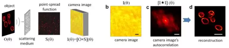 视觉奇迹：散射成像如何赋予你真实的“透视”超能力？