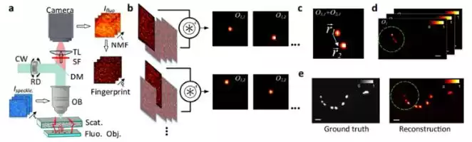 视觉奇迹：散射成像如何赋予你真实的“透视”超能力？