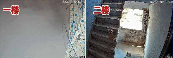 致命倒计时：新旧国标电动车燃烧实测，48秒逃生窗口竟是生死界线！