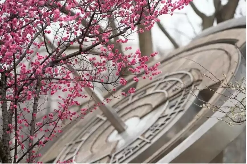 成电骄傲！5位技术新星闪耀小米，硬核实力征服未来！