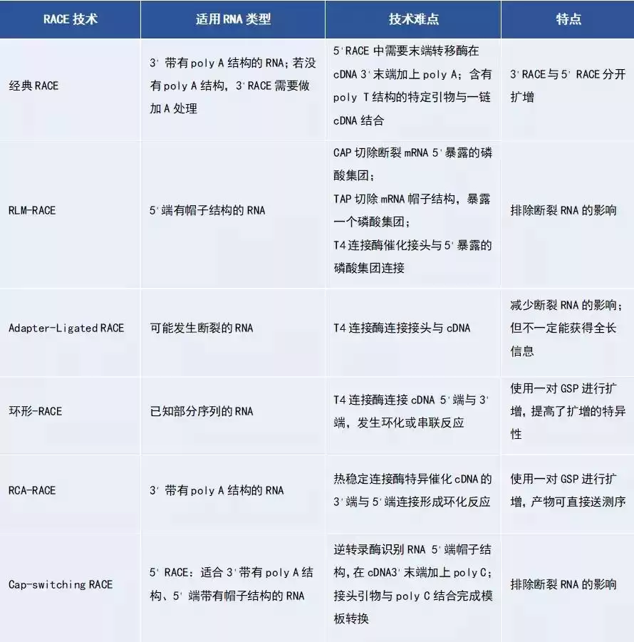 RACE技术终极攻略：一文解锁所有类型与核心技巧，轻松攻克基因全长克隆！