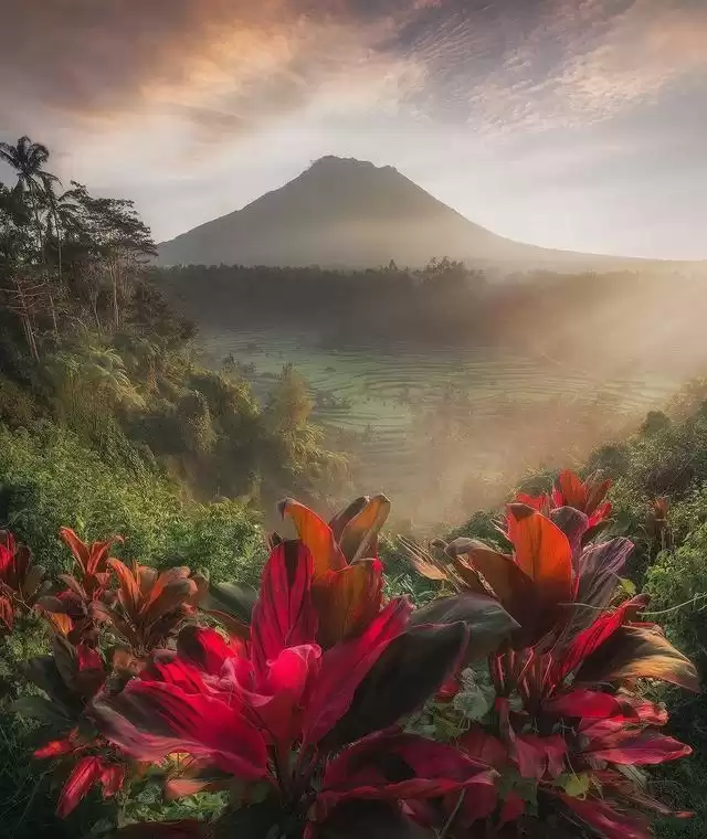 独家揭秘！摄影大佬绝不肯外传的6大核心技巧，小白也能轻松拍出封神大片