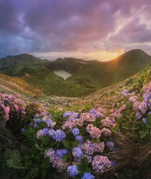 独家揭秘！摄影大佬绝不肯外传的6大核心技巧，小白也能轻松拍出封神大片