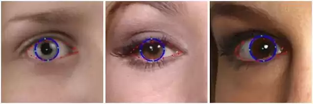 一眼测距!谷歌AI虹膜黑科技,让你的手机摄像头从此“减负”-第2张图片-正海烽科技 - 领先的只能推广行业,智能制造解决方案提供商 一眼测距!谷歌AI虹膜黑科技,让你的手机摄像头从此“减负”-第2张图片-正海烽科技 - 领先的只能推广行业,智能制造解决方案提供商