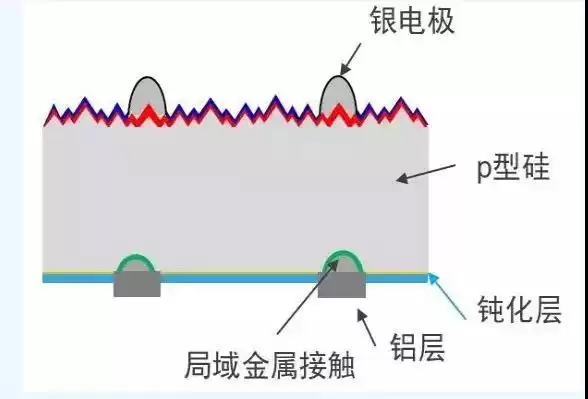 光伏效率革命：PERC技术终极指南，引爆行业未来！