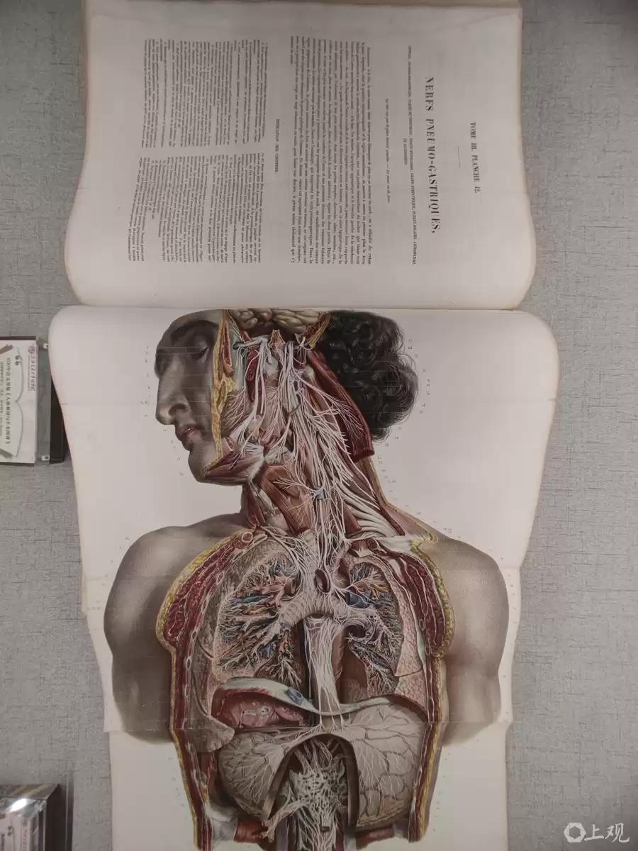 20年强强合并铸就传奇！交大临床医学登顶中国，全速冲击世界之巅！