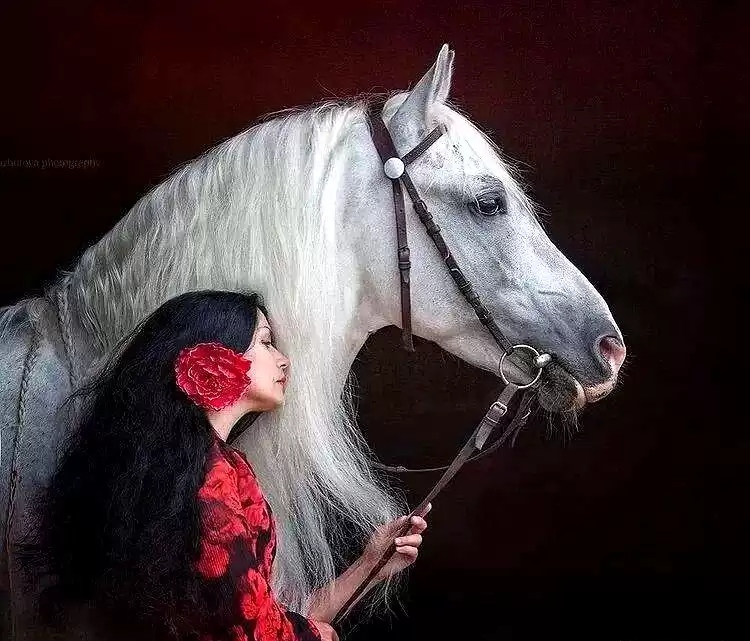当芭蕾舞者遇见骏马：解锁人体摄影的巅峰艺术与震撼反差