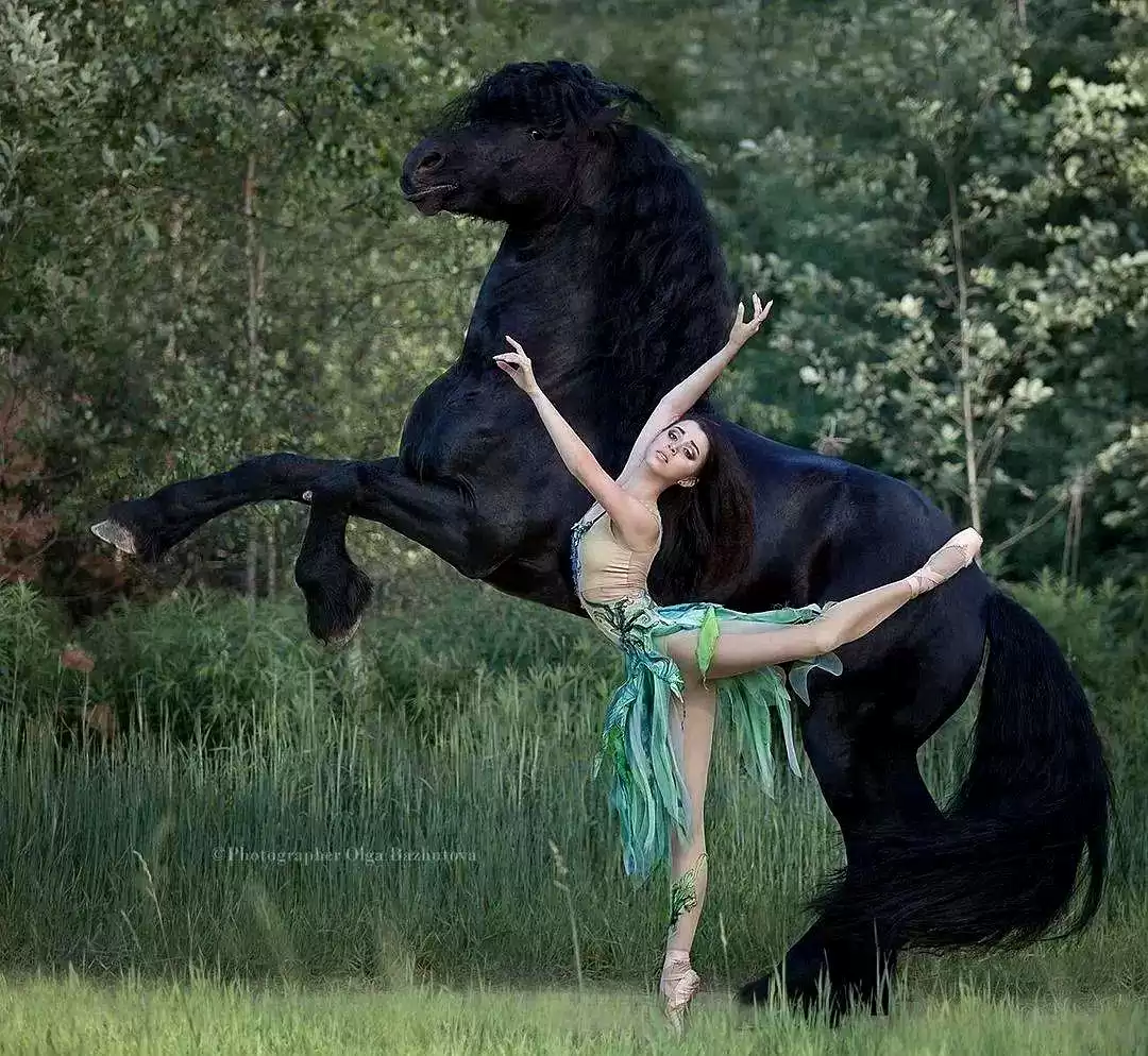 当芭蕾舞者遇见骏马：解锁人体摄影的巅峰艺术与震撼反差