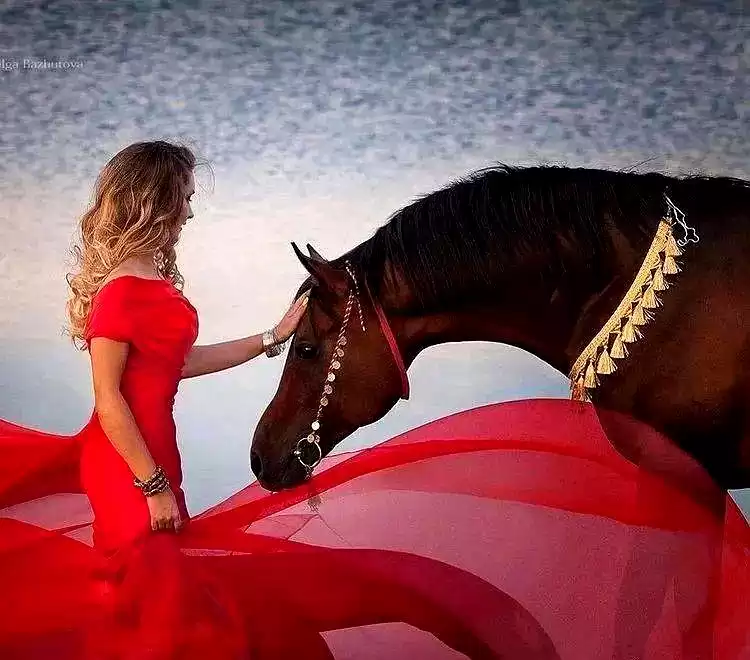 当芭蕾舞者遇见骏马：解锁人体摄影的巅峰艺术与震撼反差