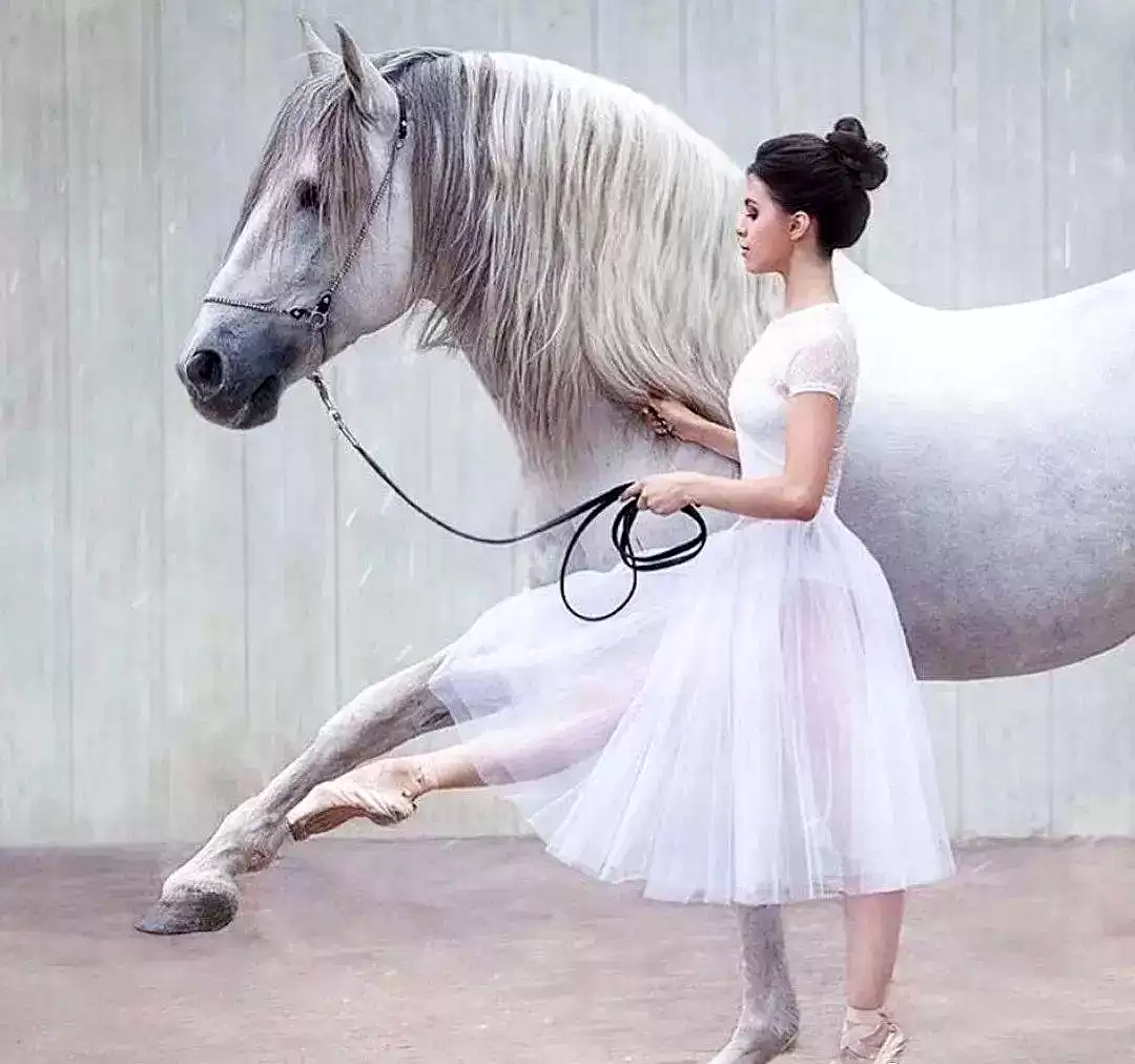 当芭蕾舞者遇见骏马：解锁人体摄影的巅峰艺术与震撼反差