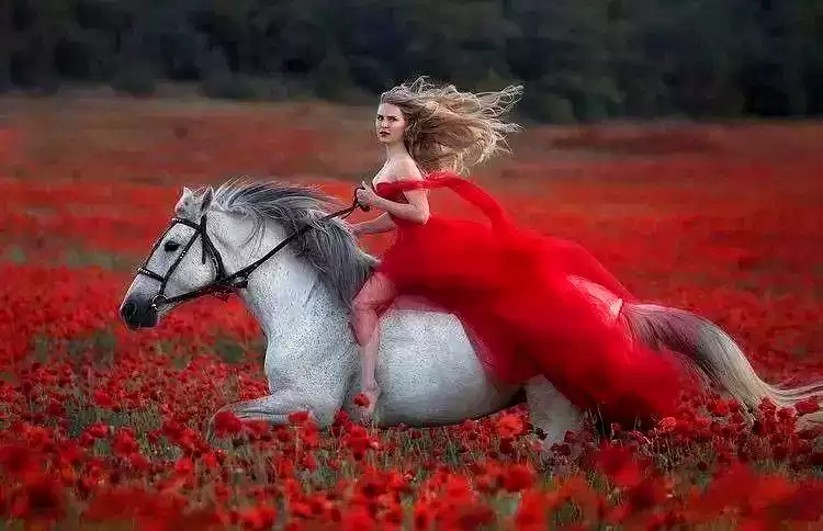 当芭蕾舞者遇见骏马：解锁人体摄影的巅峰艺术与震撼反差