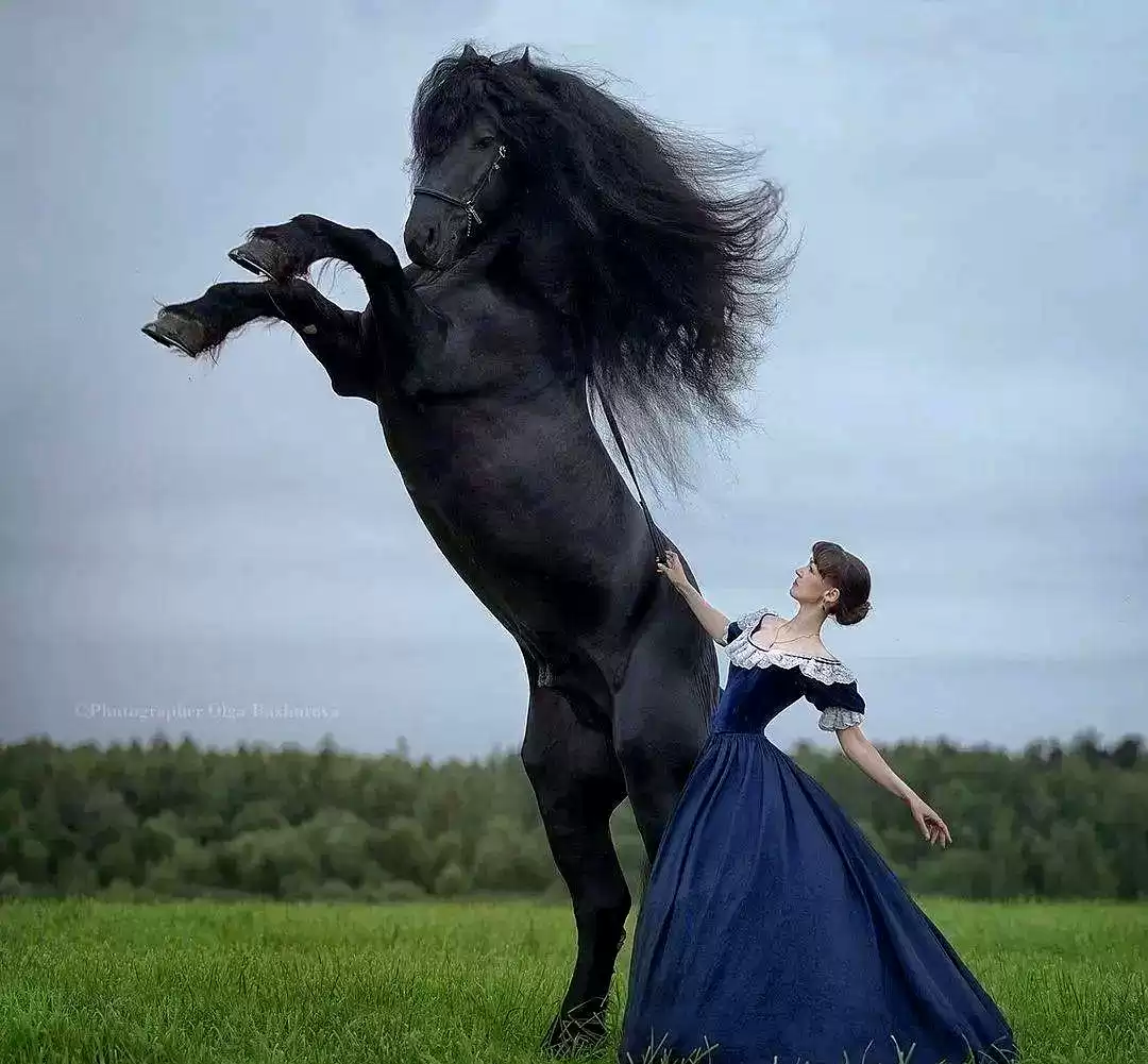 当芭蕾舞者遇见骏马：解锁人体摄影的巅峰艺术与震撼反差