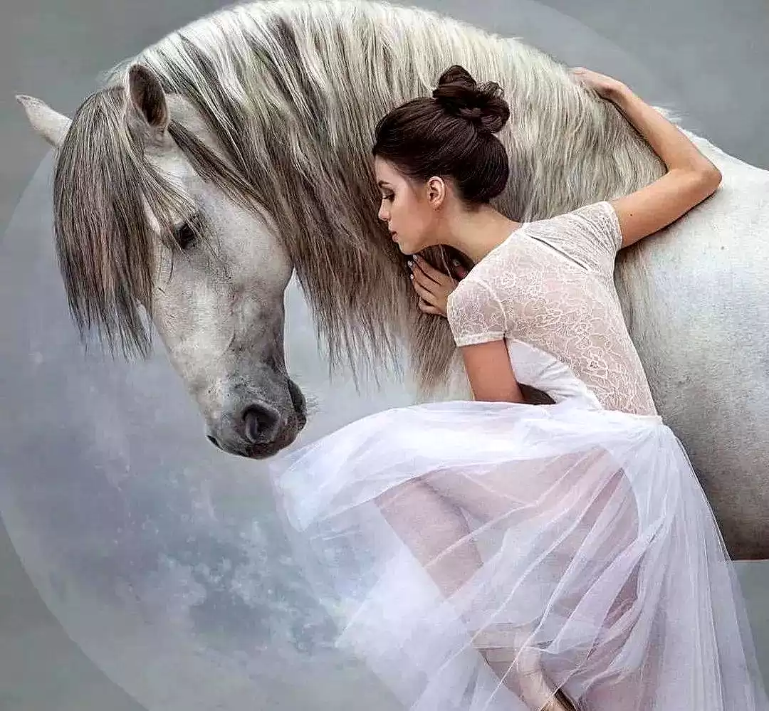 当芭蕾舞者遇见骏马：解锁人体摄影的巅峰艺术与震撼反差