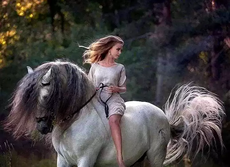 当芭蕾舞者遇见骏马：解锁人体摄影的巅峰艺术与震撼反差