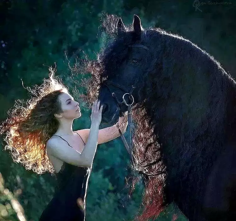 当芭蕾舞者遇见骏马：解锁人体摄影的巅峰艺术与震撼反差