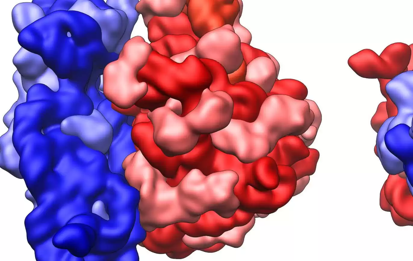 逆转衰老时代来临！科学家证实8大返老还童法，人类寿命极限或将被打破