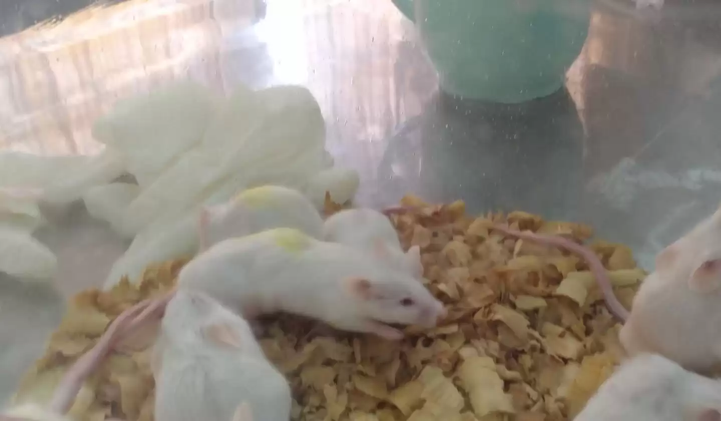 逆转衰老时代来临！科学家证实8大返老还童法，人类寿命极限或将被打破