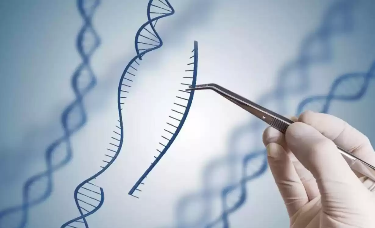 逆转衰老时代来临！科学家证实8大返老还童法，人类寿命极限或将被打破