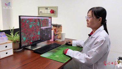 卫星“种地”黑科技：农业遥感如何颠覆你的农耕认知？-第2张图片-正海烽科技 - 领先的只能推广行业，智能制造解决方案提供商