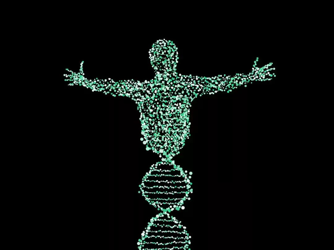 量子传输人体：是传送还是毁灭？灵魂永生引爆科学界！