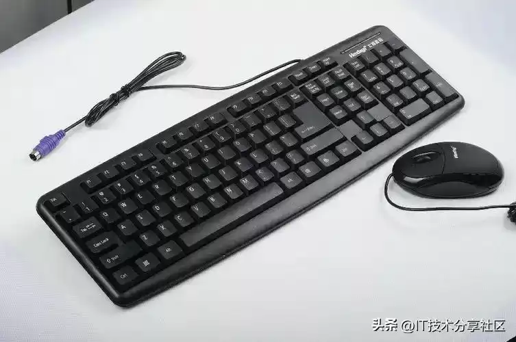 从零到一掌控电脑：硬核硬件解析+高效快捷键秘籍，小白秒变大神！