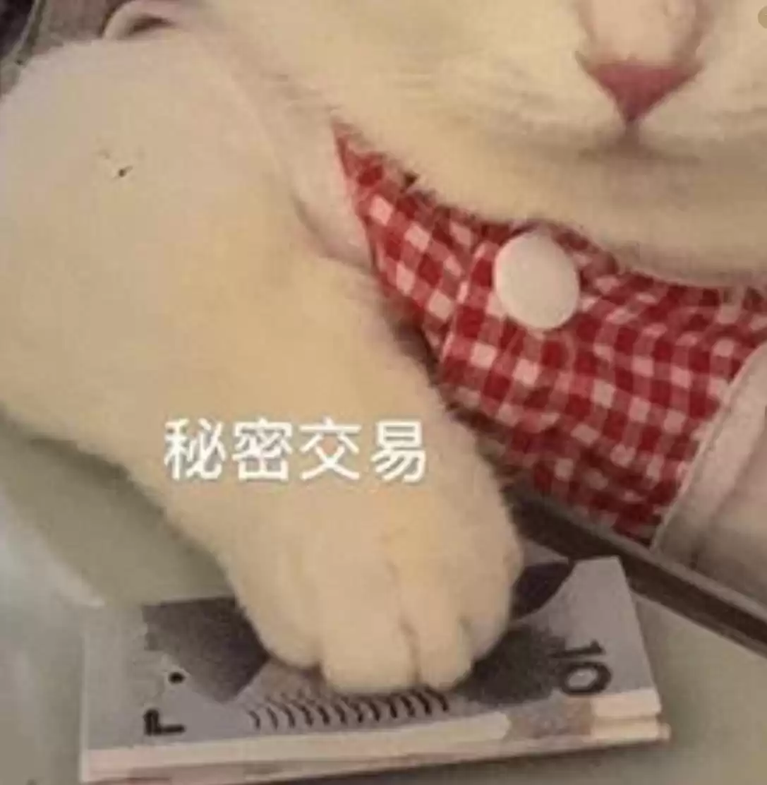 2025程序员接单突围战：选对平台，收入飙升不是梦！